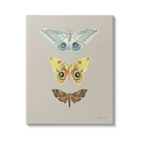 Stupell Industries Vintage Moth Species Animals & Insects Painting Gallery Wrapped Canvas Print Wall Art, 16 x 20