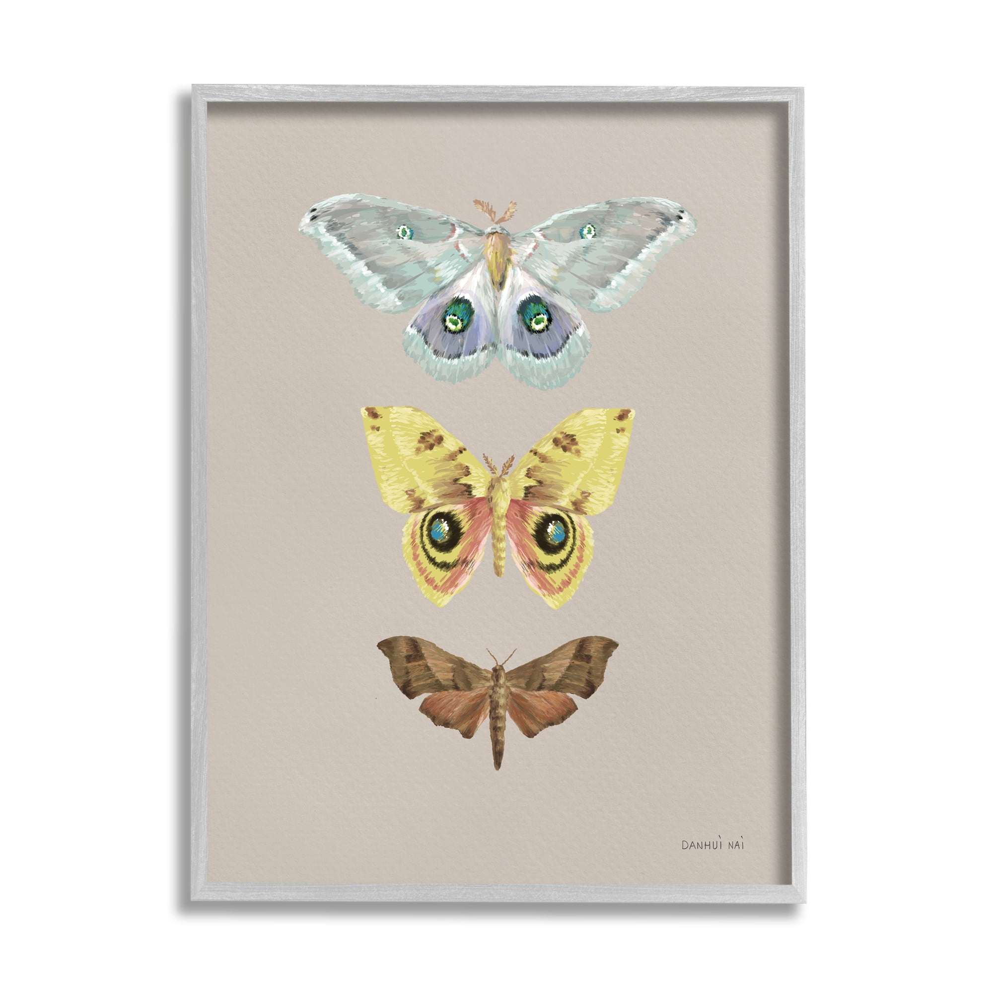 Stupell Industries Vintage Moth Species Animals & Insects Painting Gray Framed Art Print Wall Art, 24 x 30