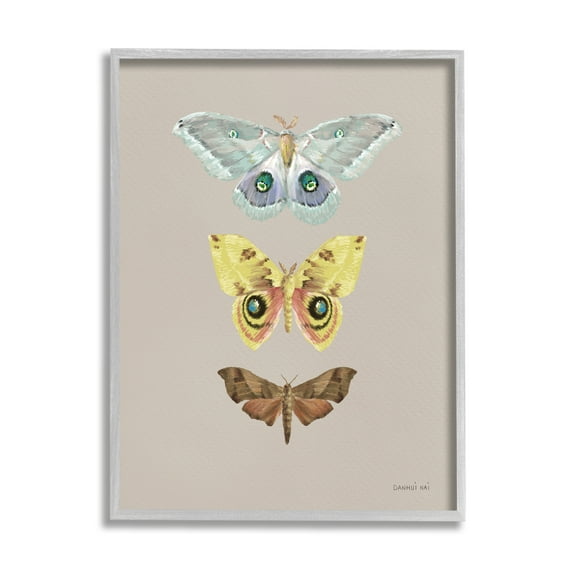 Stupell Industries Vintage Moth Species Animals & Insects Painting Gray Framed Art Print Wall Art, 24 x 30