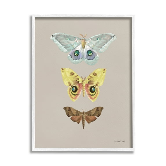 Stupell Industries Vintage Moth Species Animals & Insects Painting White Framed Art Print Wall Art, 11 x 14