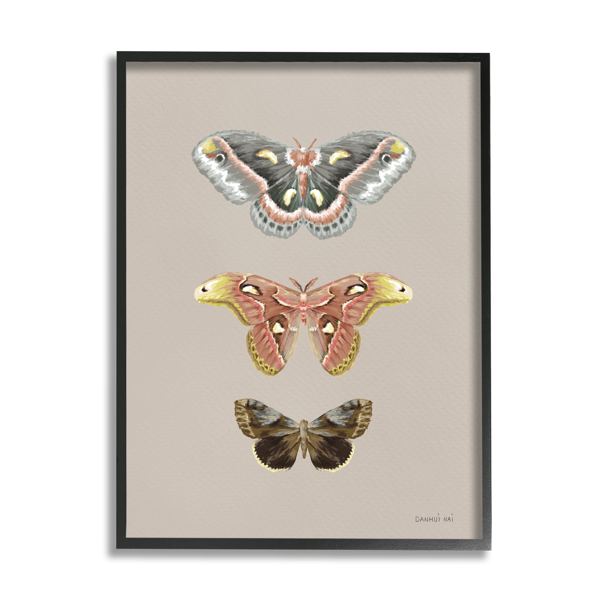 Stupell Industries Vintage Moth Specimens Animals & Insects Painting Black Framed Art Print Wall Art, 11 x 14