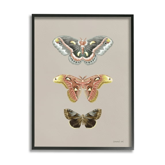 Stupell Industries Vintage Moth Specimens Animals & Insects Painting Black Framed Art Print Wall Art, 16 x 20