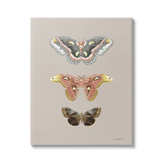Stupell Industries Vintage Moth Specimens Animals & Insects Painting Gallery Wrapped Canvas Print Wall Art, 30 x 40