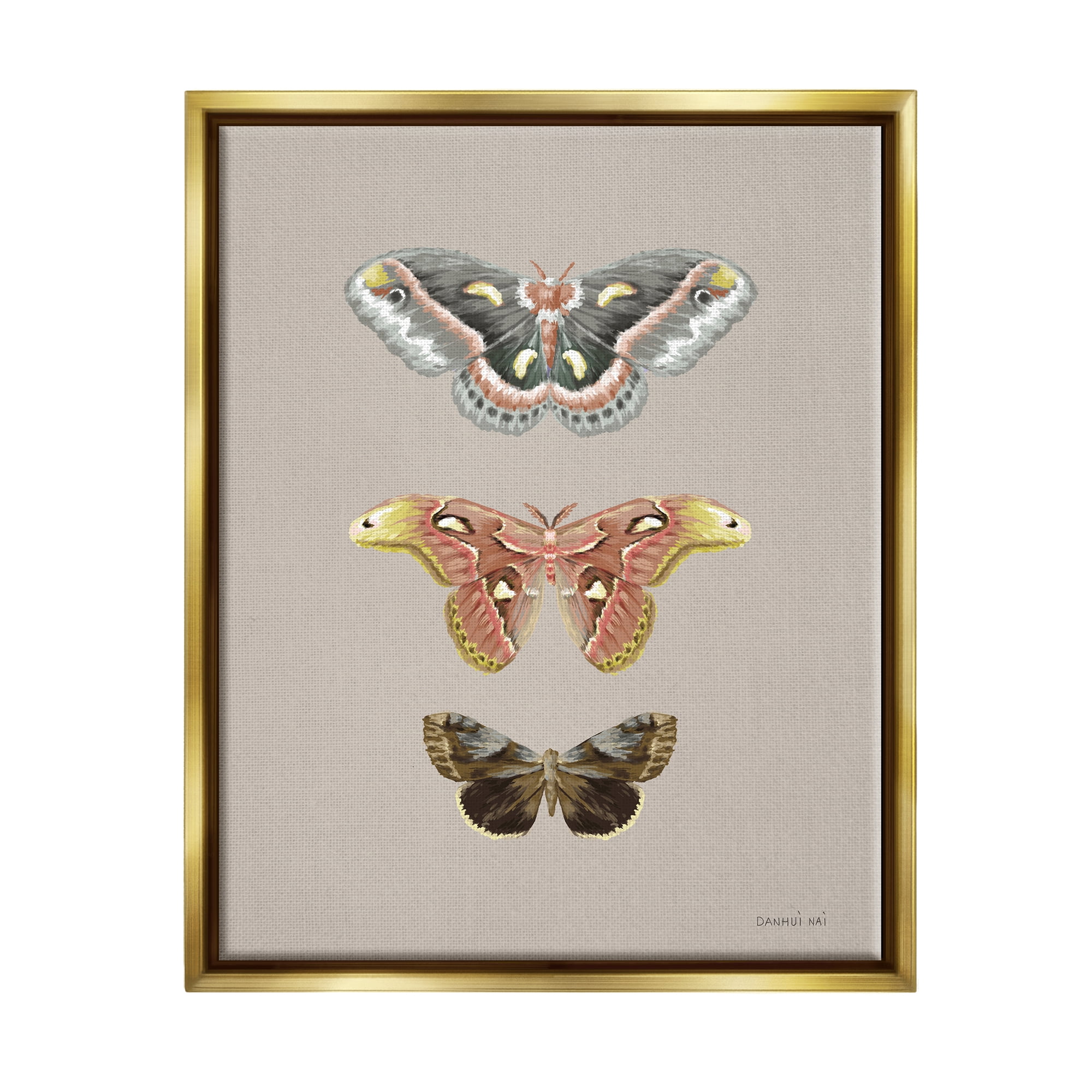 Stupell Industries Vintage Moth Specimens Animals & Insects Painting Gold Floater Framed Art Print Wall Art, 17 x 21