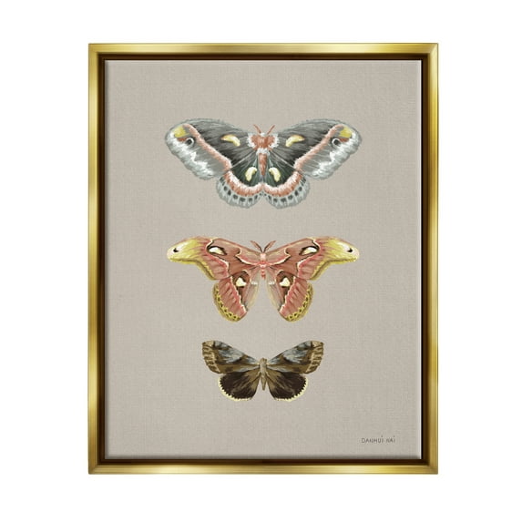 Stupell Industries Vintage Moth Specimens Animals & Insects Painting Gold Floater Framed Art Print Wall Art, 25 x 31