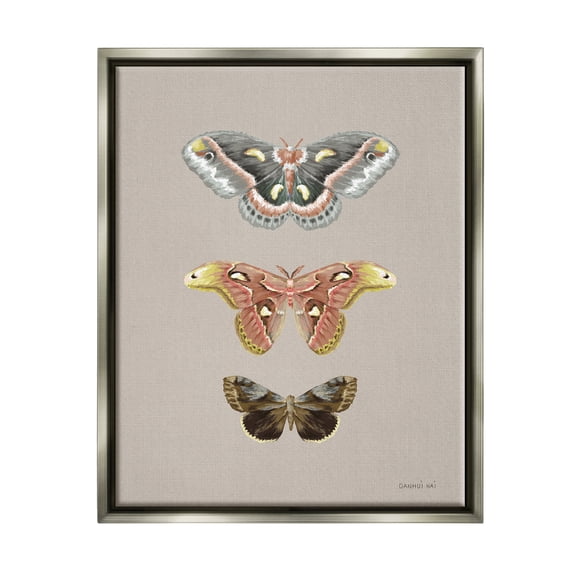 Stupell Industries Vintage Moth Specimens Animals & Insects Painting Gray Floater Framed Art Print Wall Art, 17 x 21