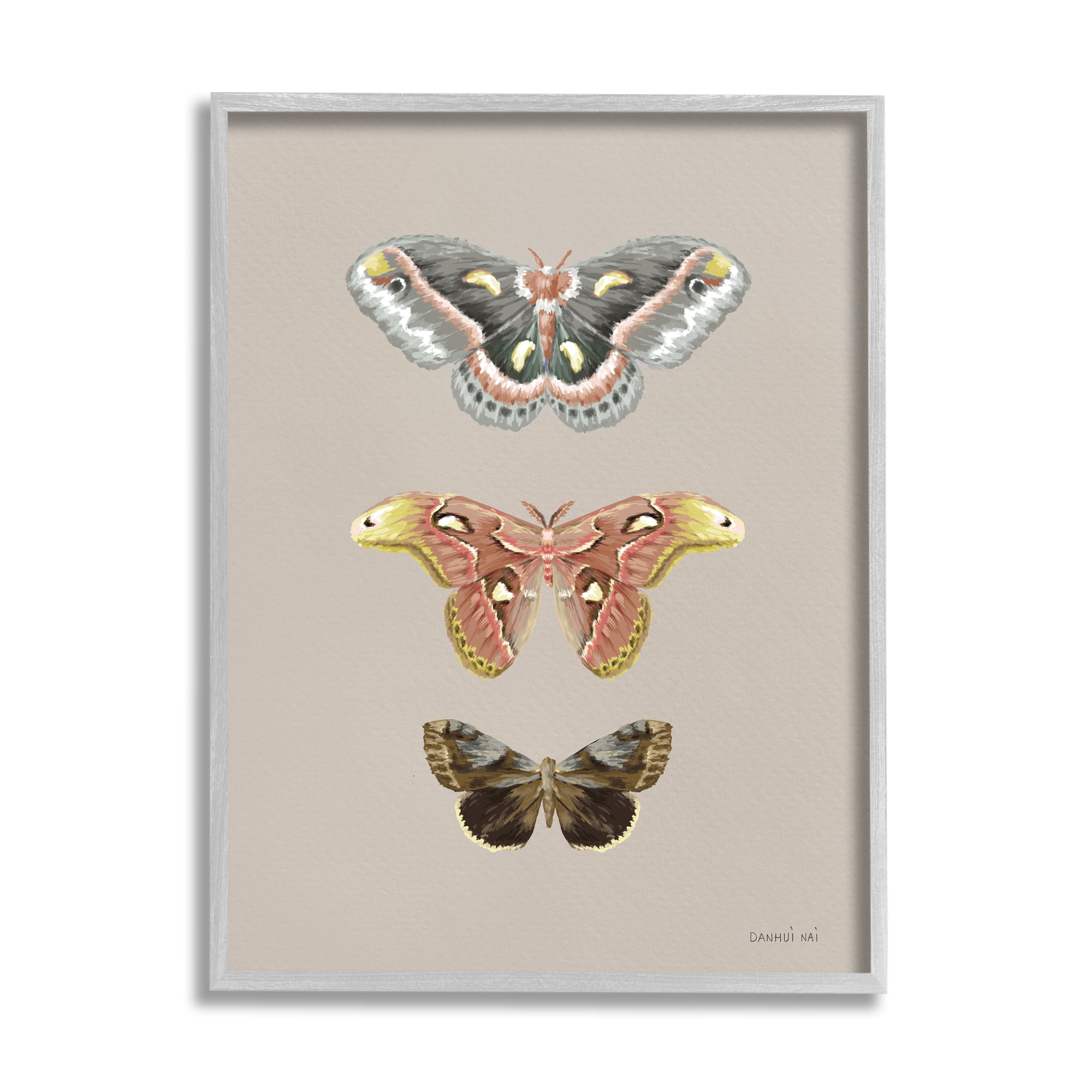 Stupell Industries Vintage Moth Specimens Animals & Insects Painting Gray Framed Art Print Wall Art, 11 x 14