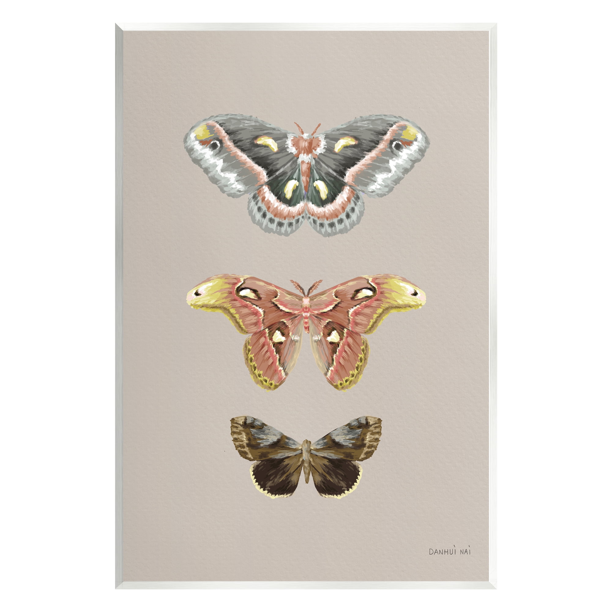 Stupell Industries Vintage Moth Specimens Animals & Insects Painting Unframed Art Print Wall Art, 10 x 15