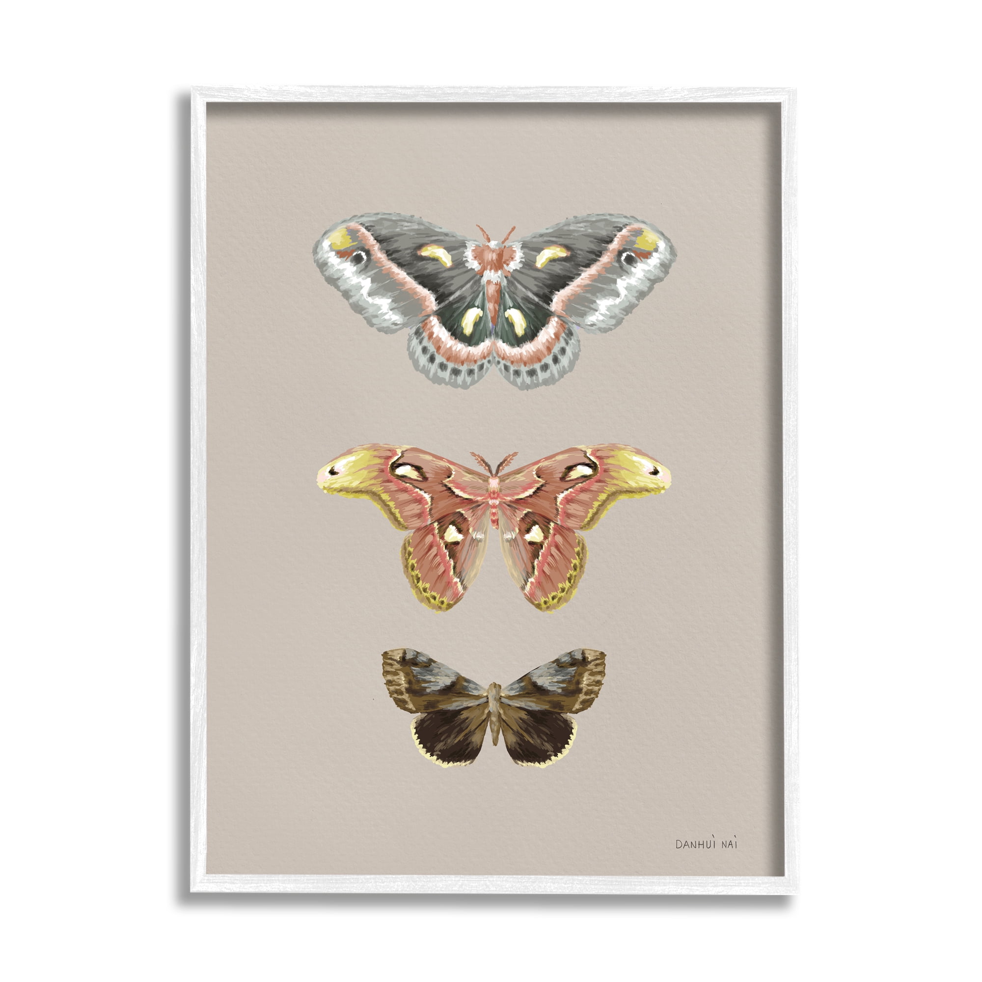 Stupell Industries Vintage Moth Specimens Animals & Insects Painting White Framed Art Print Wall Art, 16 x 20