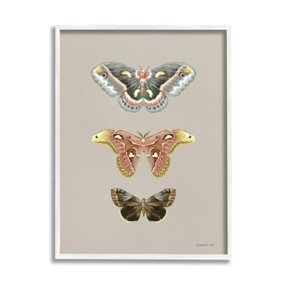 Stupell Industries Vintage Moth Specimens Animals & Insects Painting White Framed Art Print Wall Art, 24 x 30