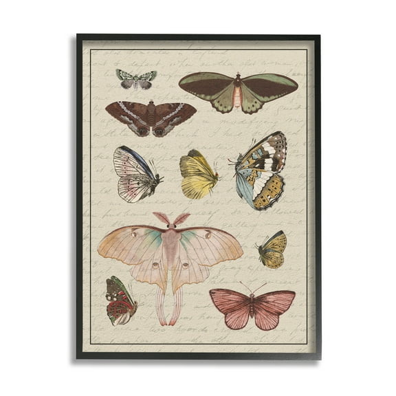 Stupell Industries Vintage Moth and Butterfly Wing Study over Script Animals & Insects Painting Black Framed Art Print Wall Art, 11 x 14