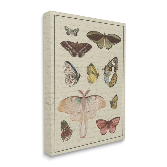 Stupell Industries Vintage Moth and Butterfly Wing Study over Script Animals & Insects Painting Gallery Wrapped Canvas Print Wall Art, 16 x 20