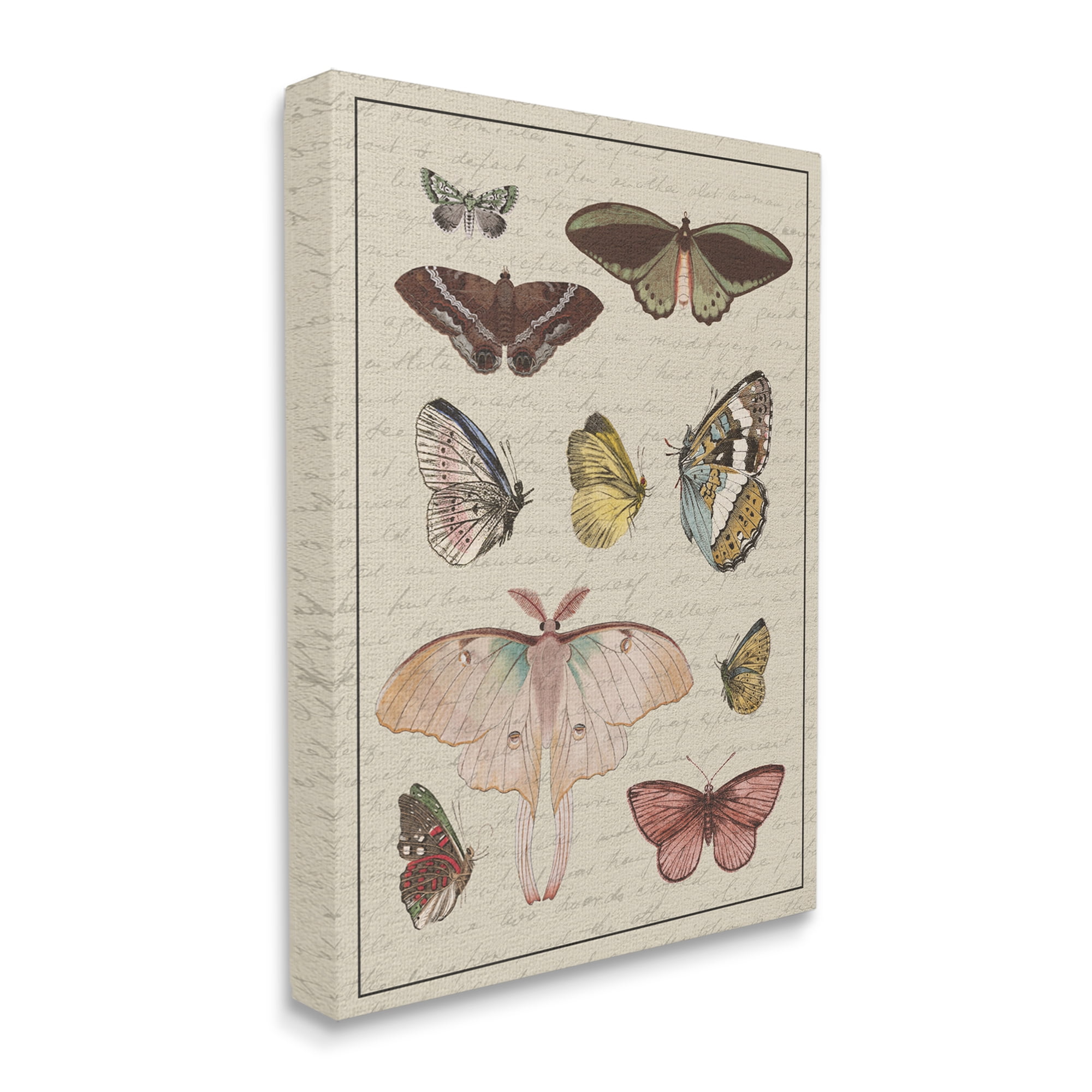 Stupell Industries Vintage Moth and Butterfly Wing Study over Script Animals & Insects Painting Gallery Wrapped Canvas Print Wall Art, 30 x 40