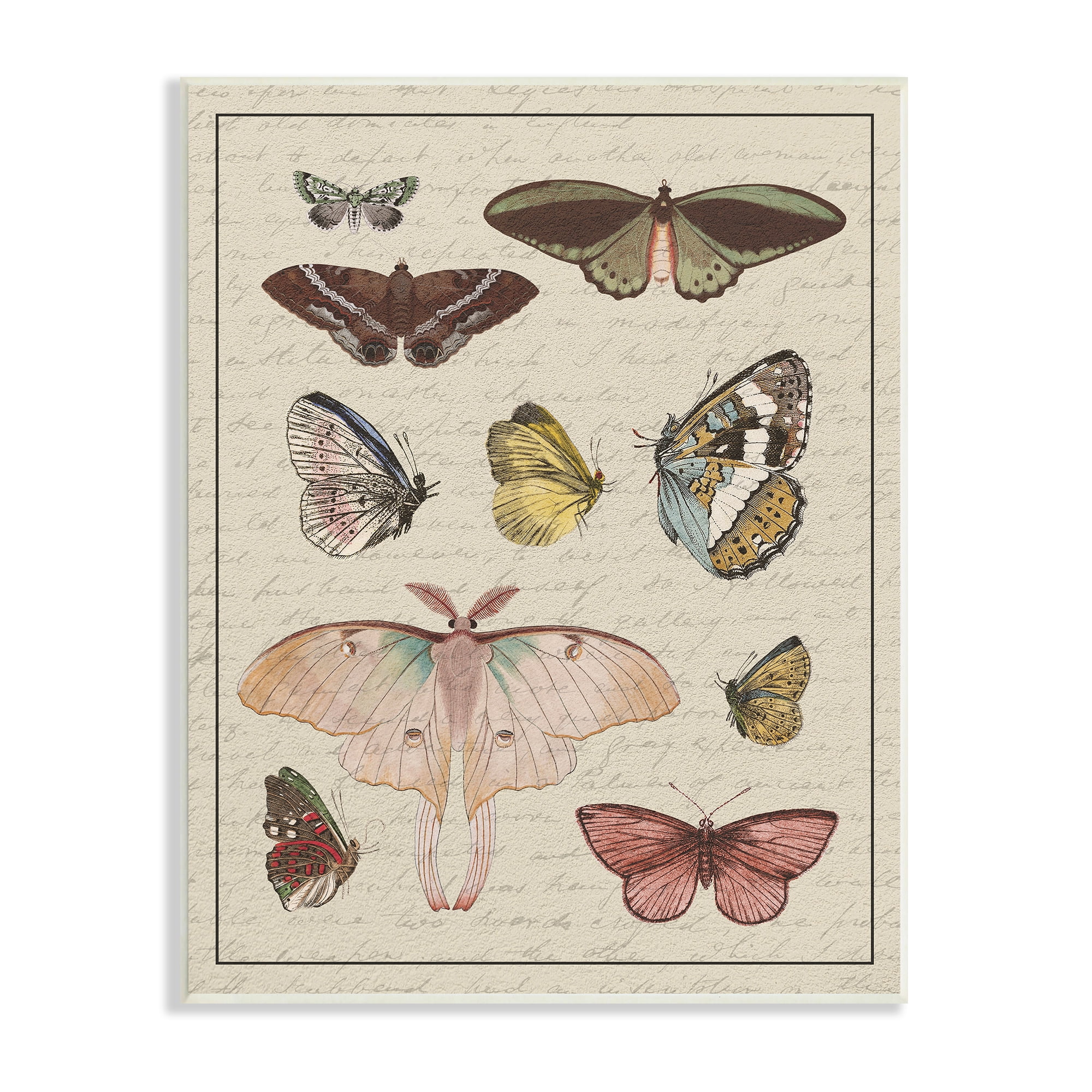 Stupell Industries Vintage Moth and Butterfly Wing Study over Script Animals & Insects Painting Unframed Art Print Wall Art, 13 x 19