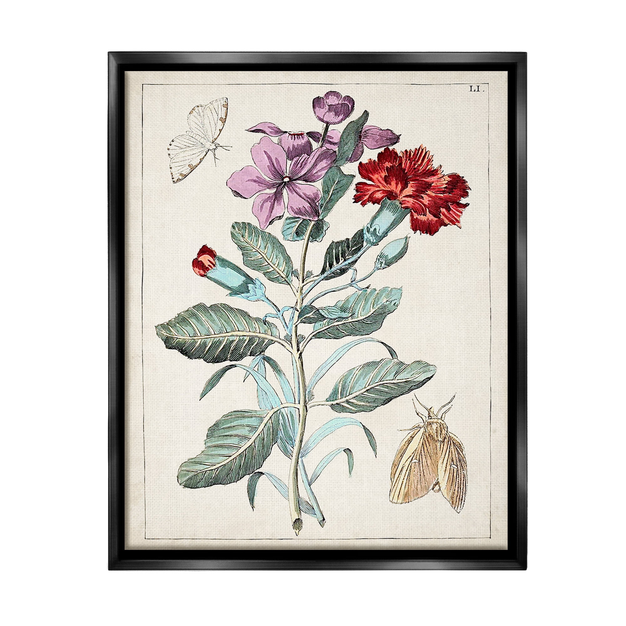Stupell Industries Vintage Moths with Flowers Botanical & Floral Painting Black Floater Framed Canvas Art Print Wall Art, 25 x 31