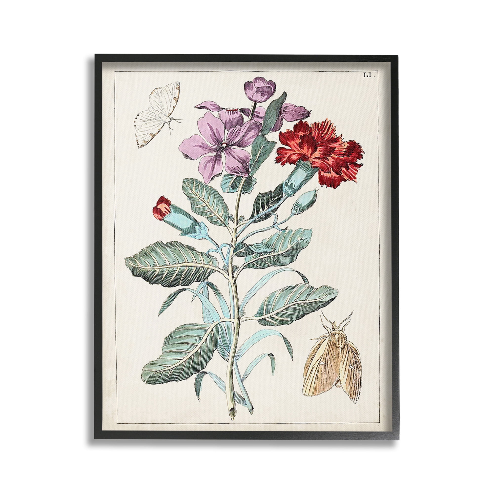 Stupell Industries Vintage Moths with Flowers Botanical & Floral Painting Black Framed Art Print Wall Art, 24 x 30