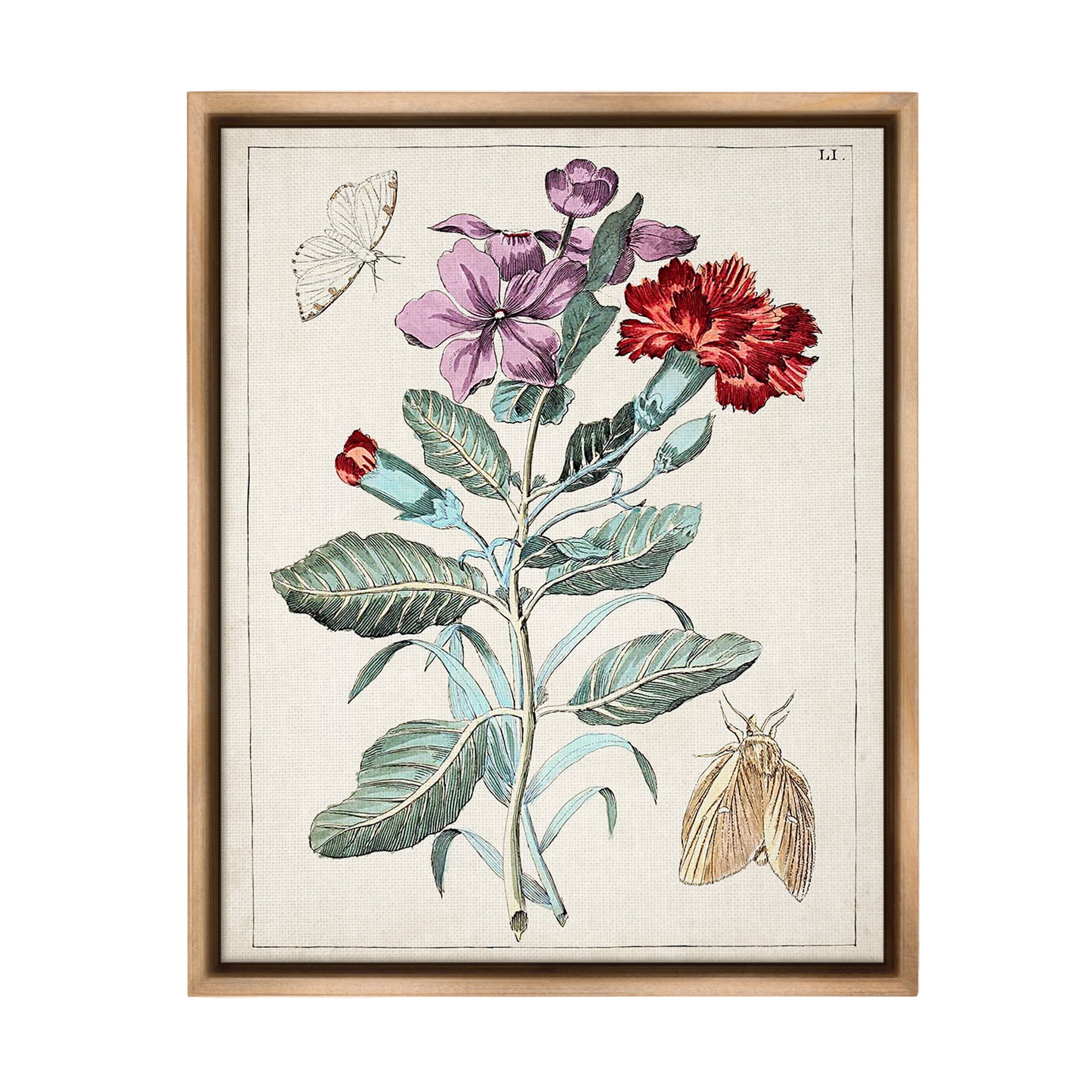 Stupell Industries Vintage Moths with Flowers Botanical & Floral Painting Brown Floater Framed Canvas Art Print Wall Art, 25 x 31