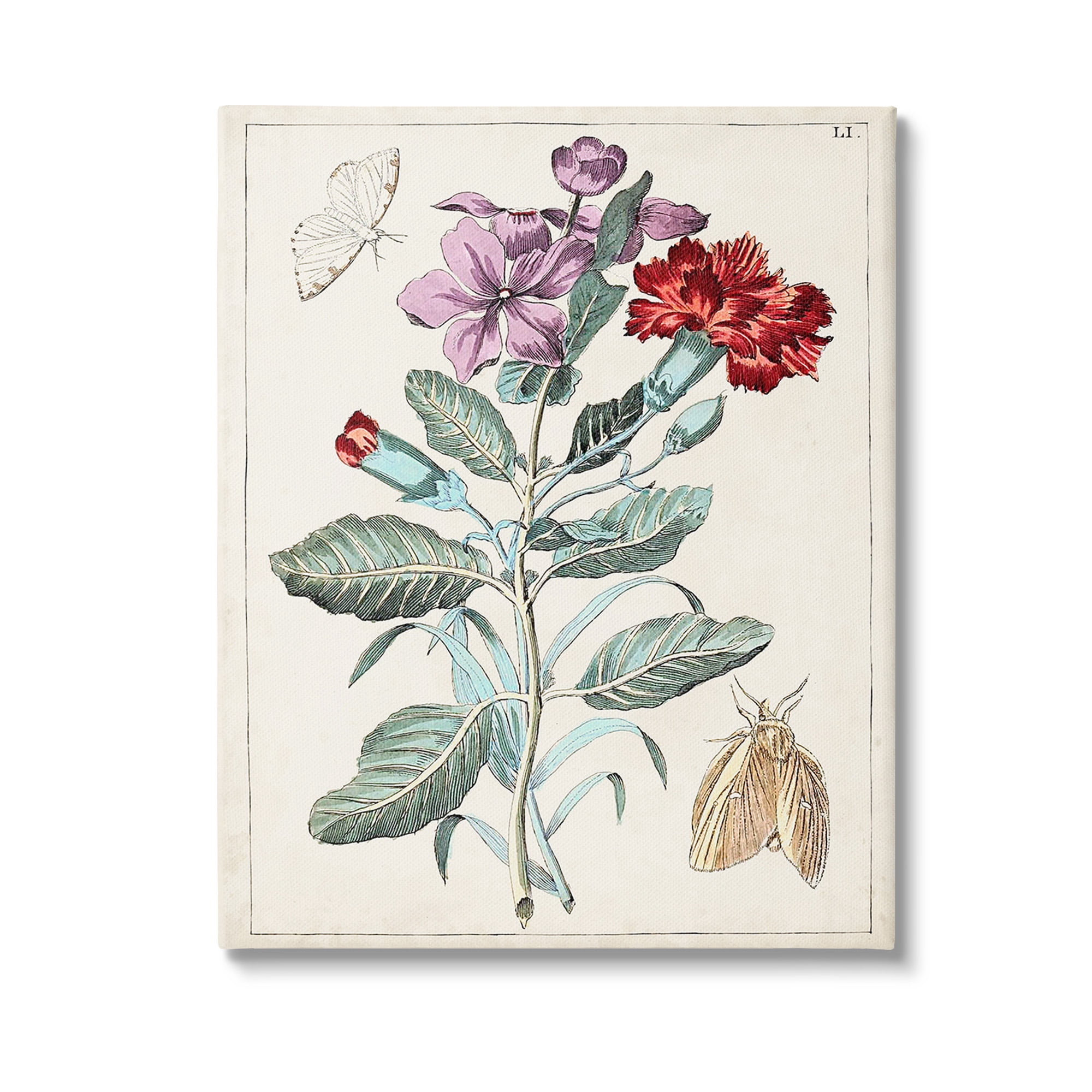 Stupell Industries Vintage Moths with Flowers Botanical & Floral Painting Gallery Wrapped Canvas Art Print Wall Art, 30 x 40