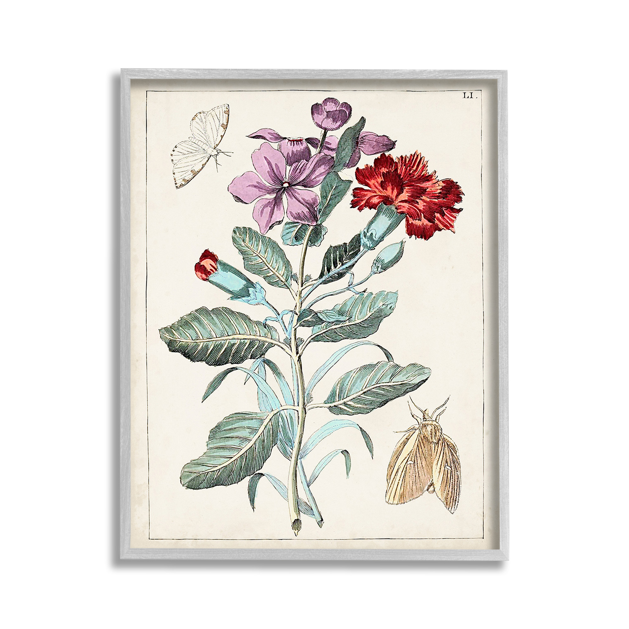 Stupell Industries Vintage Moths with Flowers Botanical & Floral Painting Gray Framed Art Print Wall Art, 11 x 14
