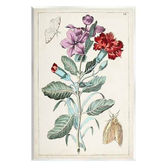 Stupell Industries Vintage Moths with Flowers Botanical & Floral Painting Unframed Art Print Wall Art, 10 x 15