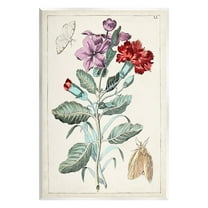 Stupell Industries Vintage Moths with Flowers Botanical & Floral Painting Unframed Art Print Wall Art, 10 x 15