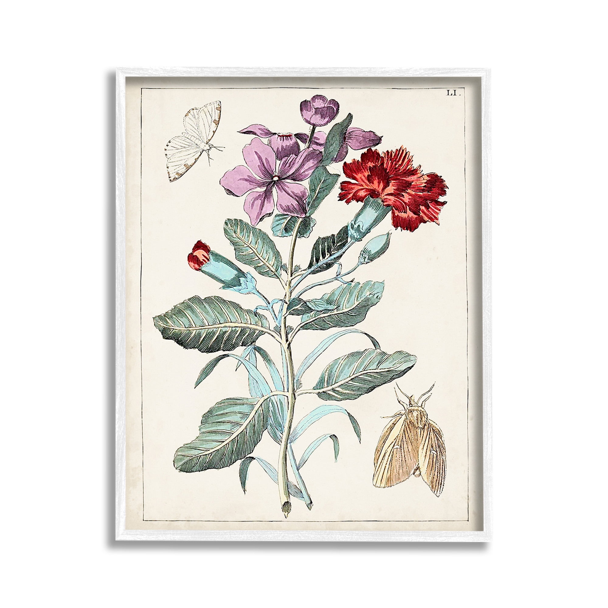 Stupell Industries Vintage Moths with Flowers Botanical & Floral Painting White Framed Art Print Wall Art, 11 x 14