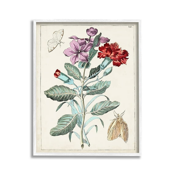 Stupell Industries Vintage Moths with Flowers Botanical & Floral Painting White Framed Art Print Wall Art, 11 x 14