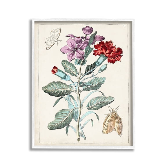 Stupell Industries Vintage Moths with Flowers Botanical & Floral Painting White Framed Art Print Wall Art, 11 x 14