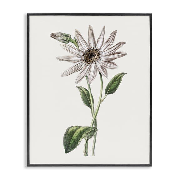 Stupell Industries Vintage Mum Sprig Floral Painting Black Framed Art Print Wall Art, 11 x 14