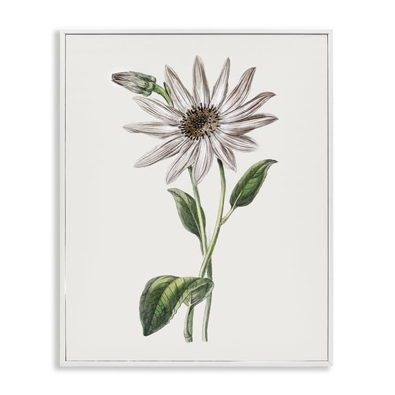 Stupell Industries Vintage Mum Sprig Floral Painting White Framed Art Print Wall Art, 24 x 30