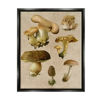 Stupell Industries Vintage Mushroom Drawings Botanical & Floral Painting Black Floater Framed Canvas Art Print Wall Art, 17 x 21