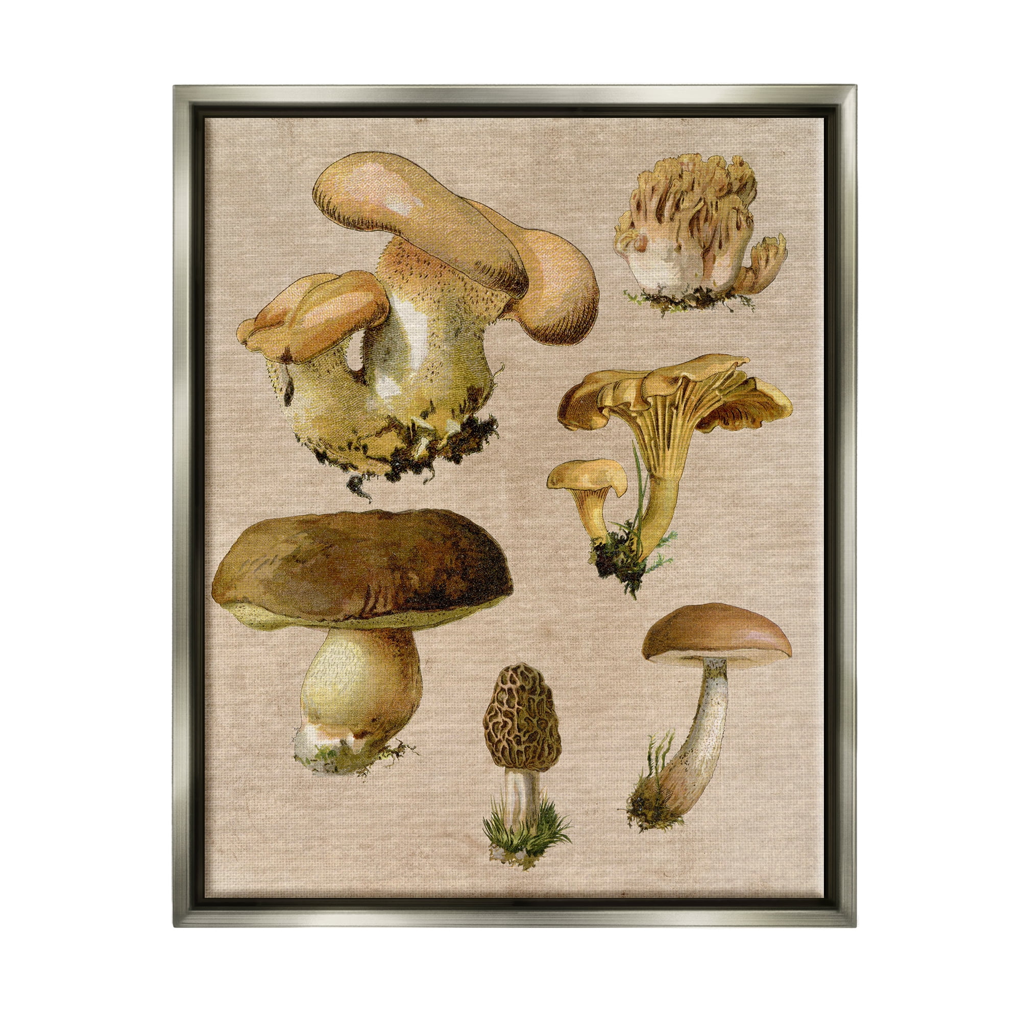 Stupell Industries Vintage Mushroom Drawings Botanical & Floral Painting Gray Floater Framed Canvas Art Print Wall Art, 17 x 21