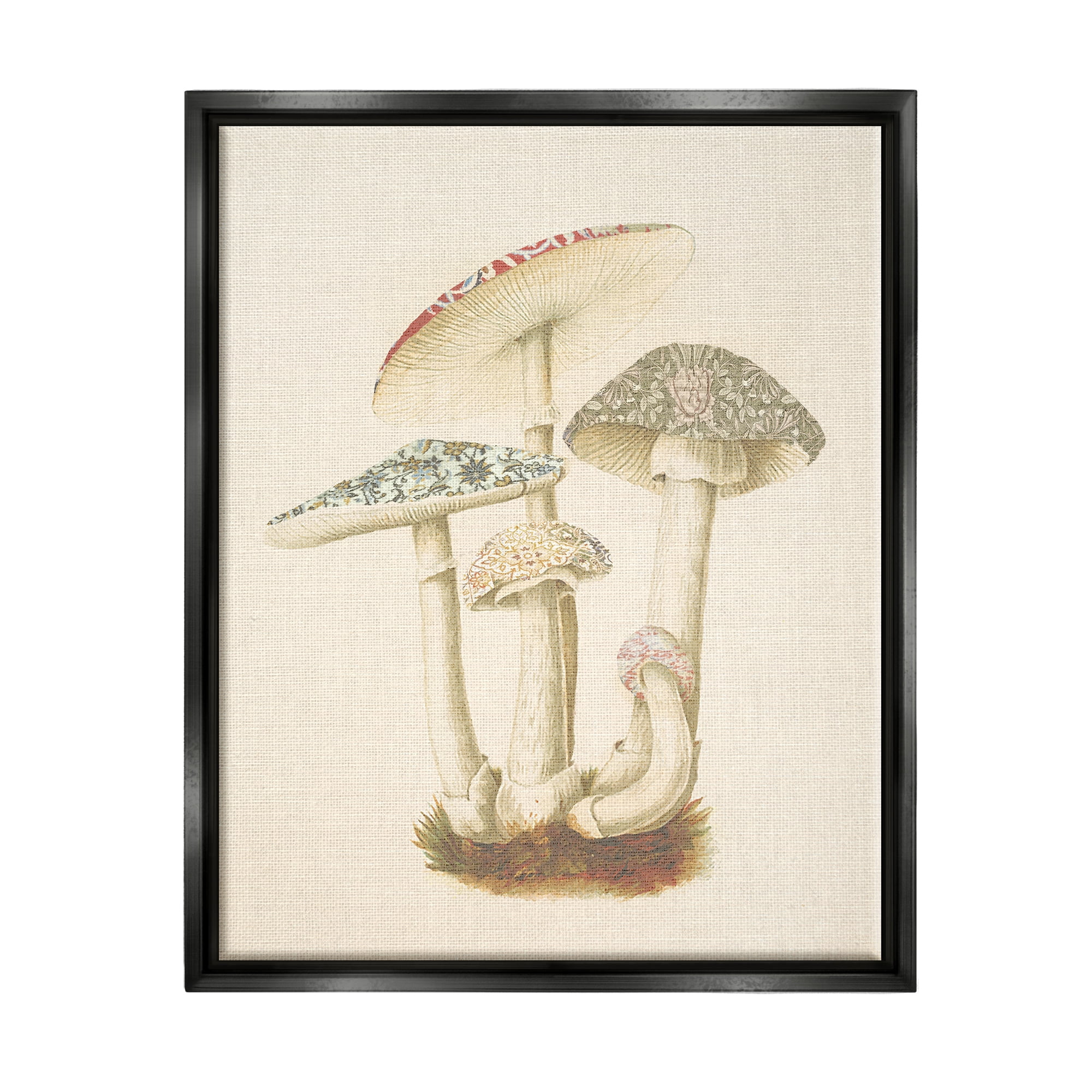 Stupell Industries Vintage Mushroom Study Botanical & Floral Painting Black Floater Framed Canvas Art Print Wall Art, 25 x 31