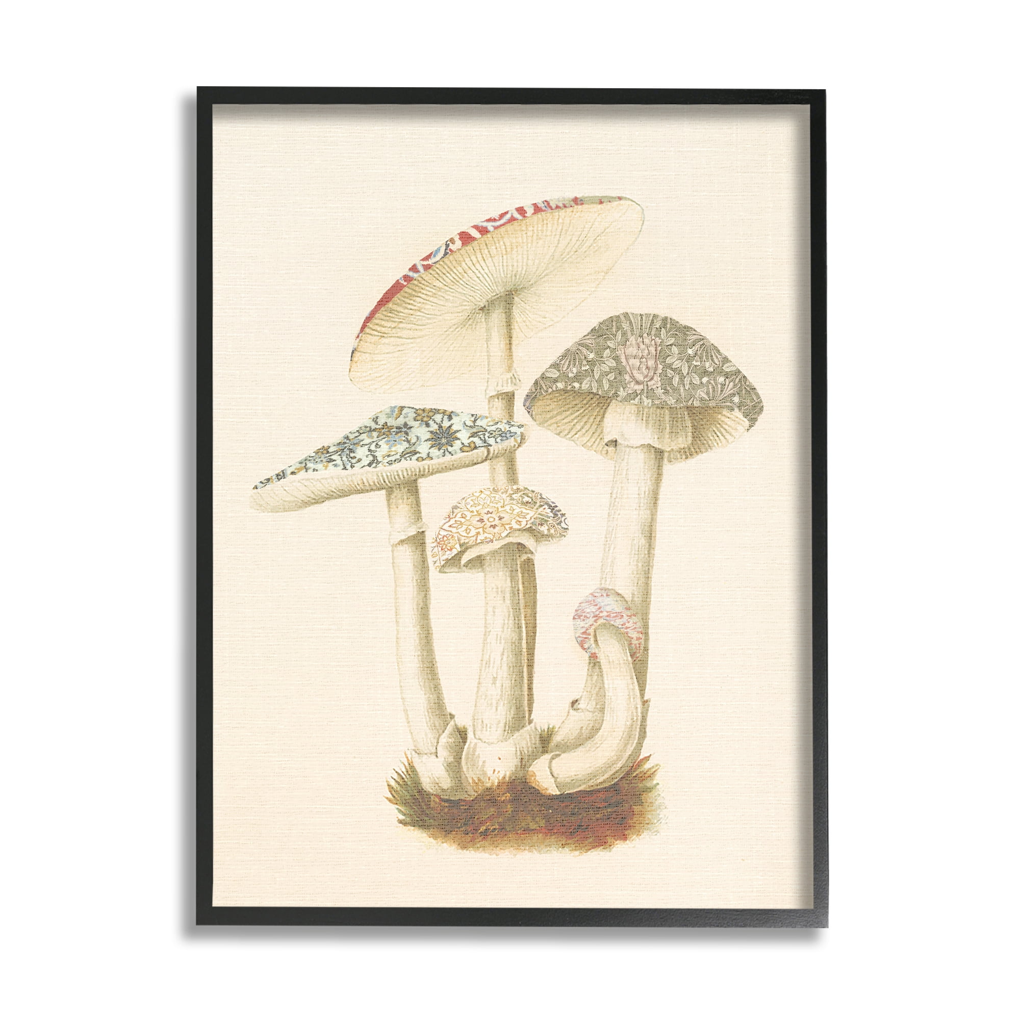 Stupell Industries Vintage Mushroom Study Botanical & Floral Painting Black Framed Art Print Wall Art, 24 x 30