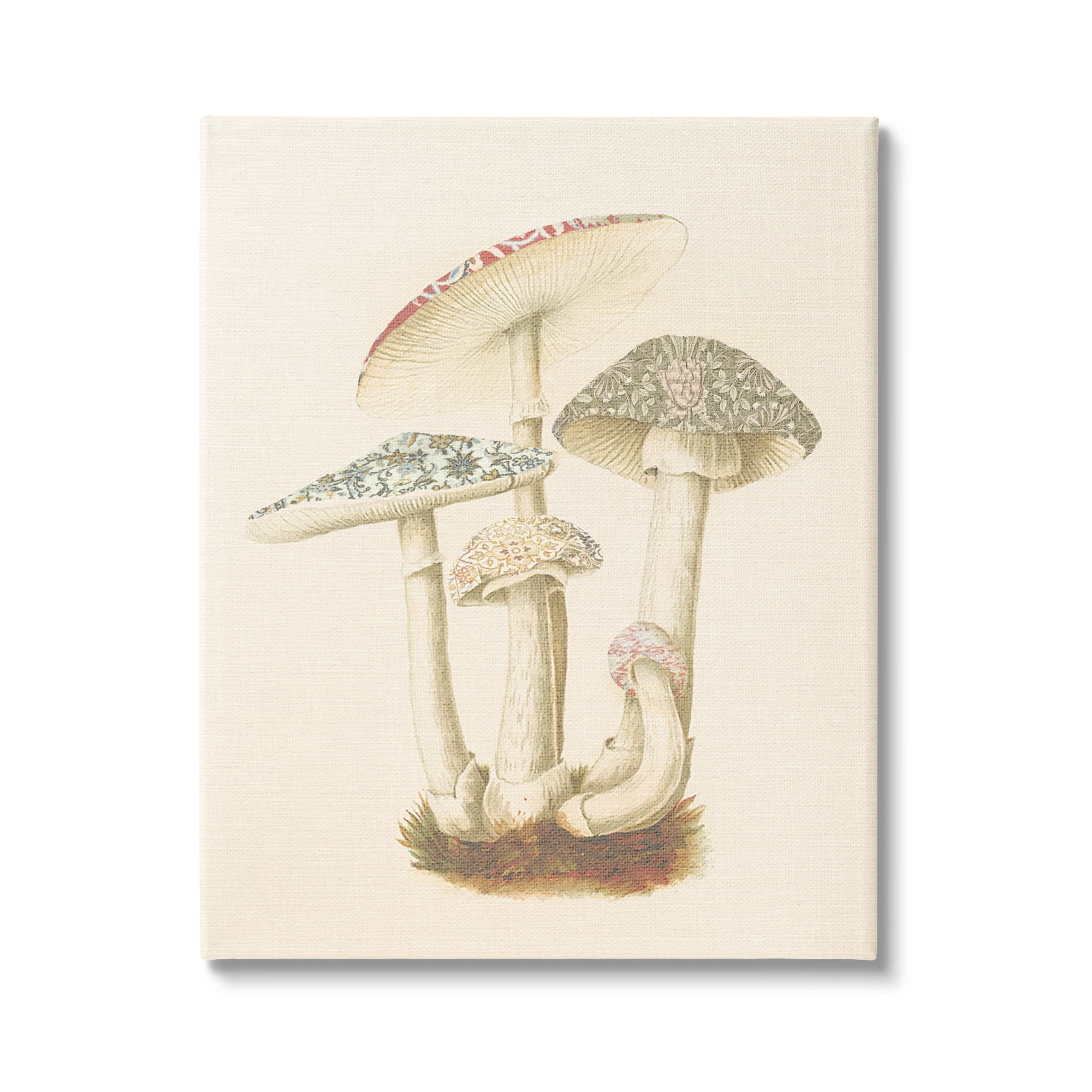 Stupell Industries Vintage Mushroom Study Botanical & Floral Painting Gallery Wrapped Canvas Art Print Wall Art, 24 x 30