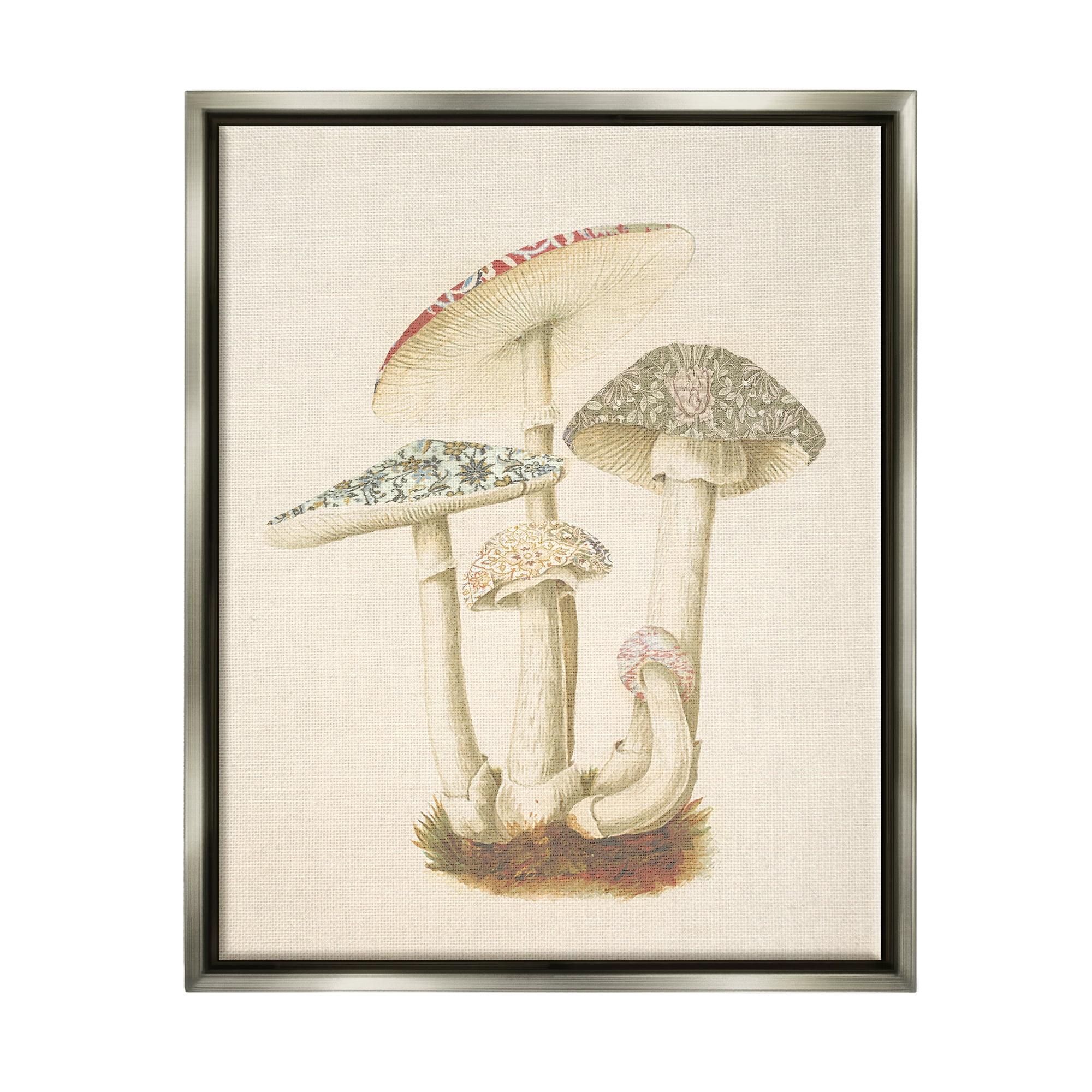 Stupell Industries Vintage Mushroom Study Botanical & Floral Painting Gray Floater Framed Canvas Art Print Wall Art, 17 x 21