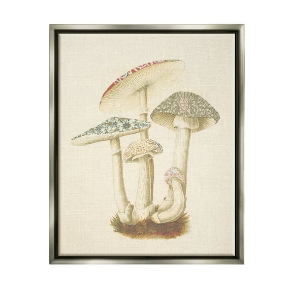 Stupell Industries Vintage Mushroom Study Botanical & Floral Painting Gray Floater Framed Canvas Art Print Wall Art, 25 x 31