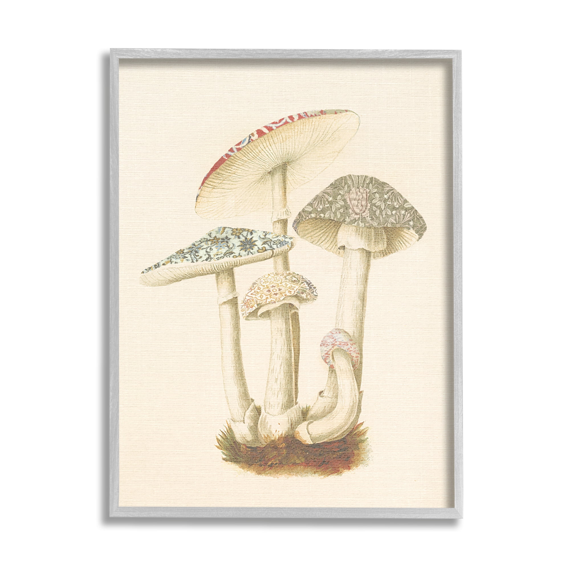 Stupell Industries Vintage Mushroom Study Botanical & Floral Painting Gray Framed Art Print Wall Art, 11 x 14