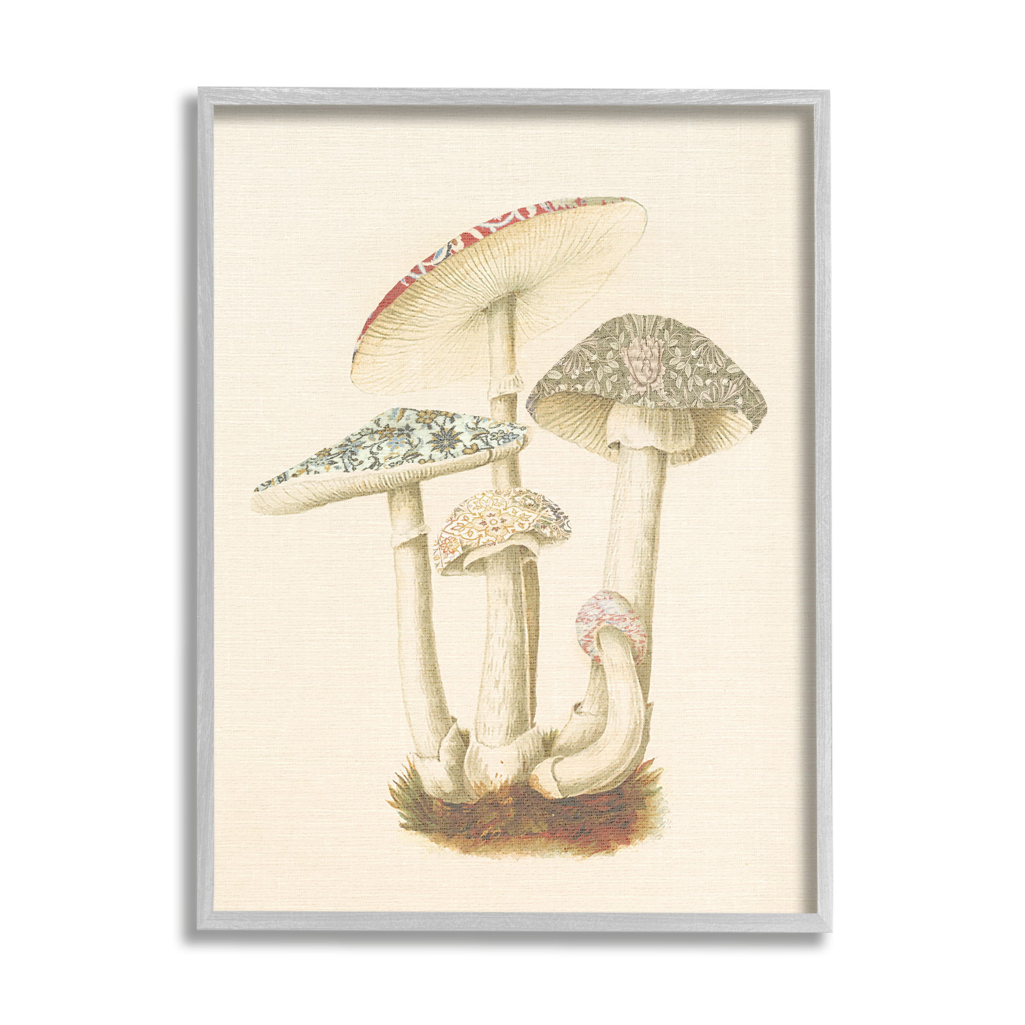 Stupell Industries Vintage Mushroom Study Botanical & Floral Painting Gray Framed Art Print Wall Art, 16 x 20