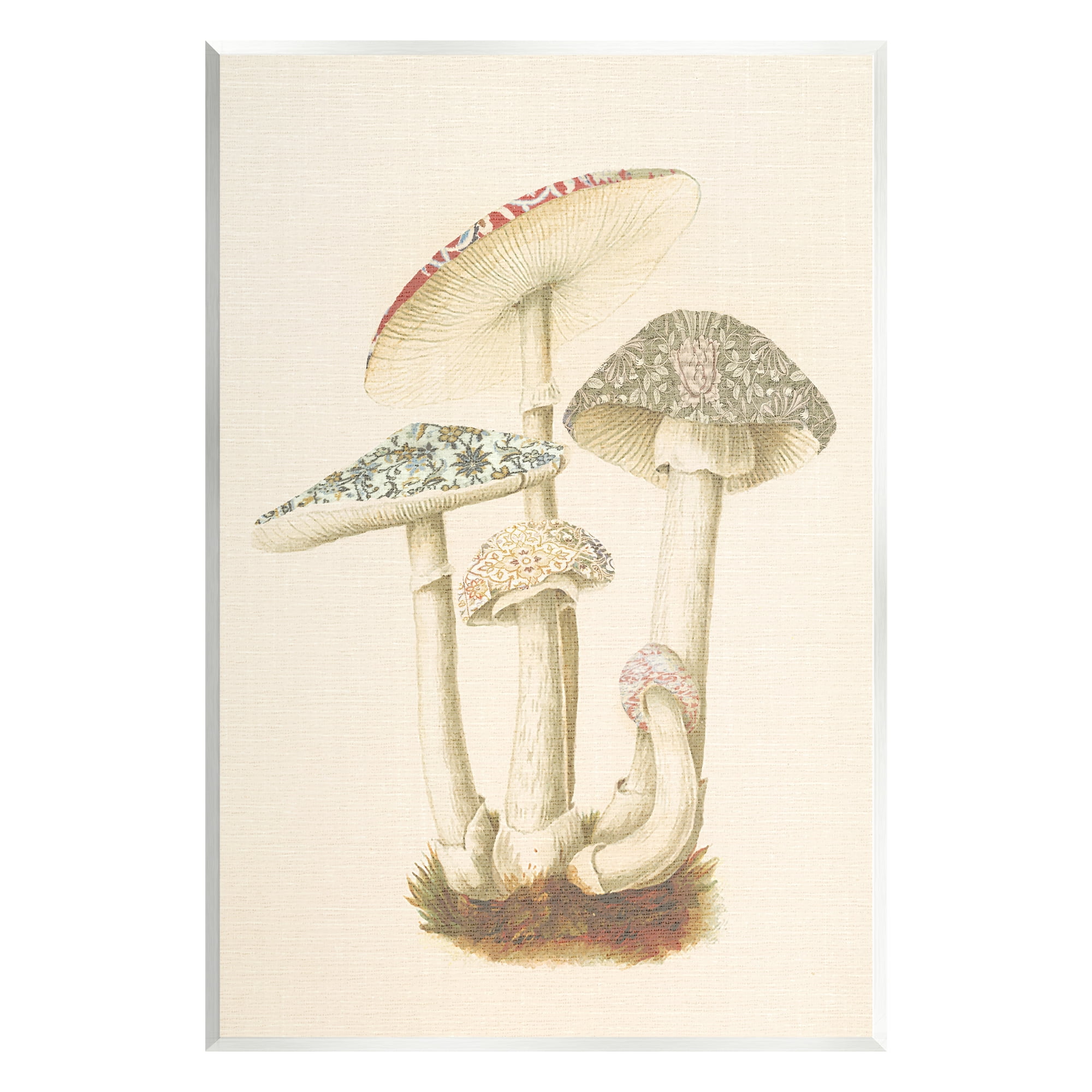 Stupell Industries Vintage Mushroom Study Botanical & Floral Painting Unframed Art Print Wall Art, 10 x 15