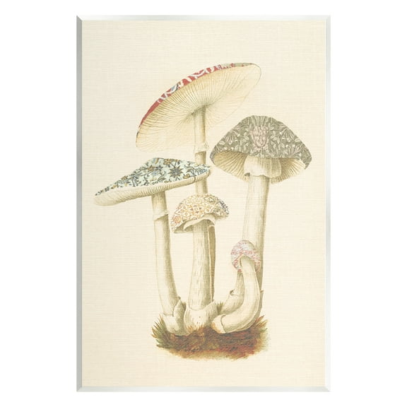 Stupell Industries Vintage Mushroom Study Botanical & Floral Painting Unframed Art Print Wall Art, 10 x 15