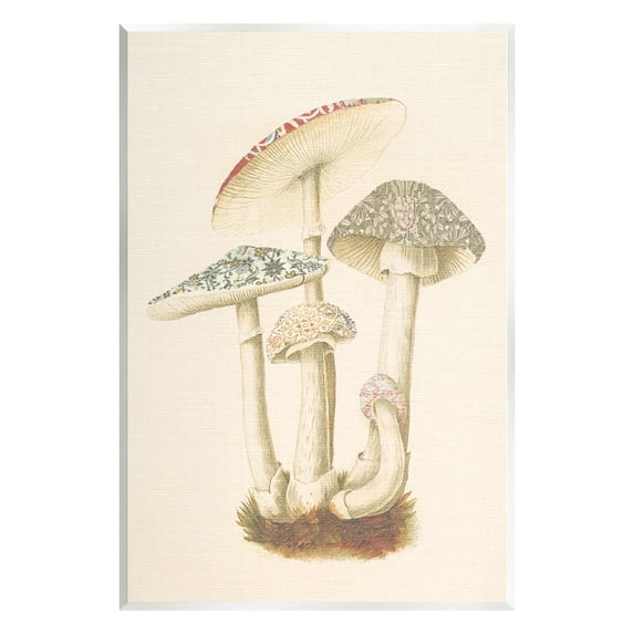 Stupell Industries Vintage Mushroom Study Botanical & Floral Painting Unframed Art Print Wall Art, 13 x 19