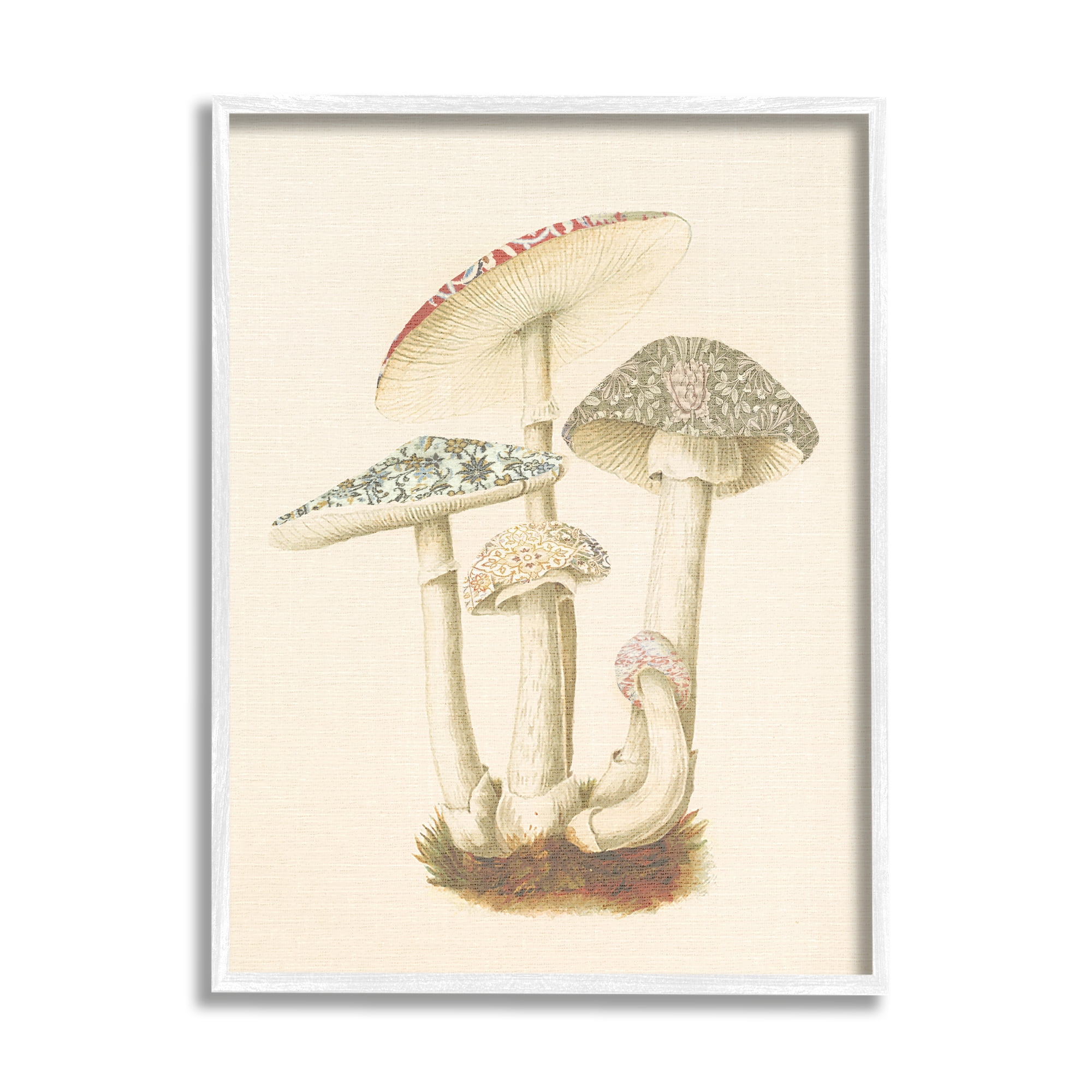 Stupell Industries Vintage Mushroom Study Botanical & Floral Painting White Framed Art Print Wall Art, 16 x 20