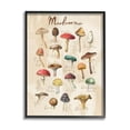 thumbnail image 1 of Stupell Industries Vintage Mushroom Types Diagram Landscape Painting Black Framed Art Print Wall Art, 1 of 5