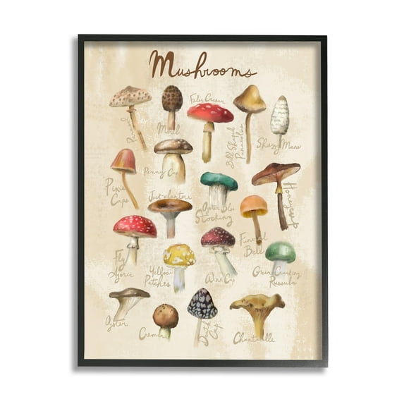 Stupell Industries Vintage Mushroom Types Diagram Landscape Painting Black Framed Art Print Wall Art
