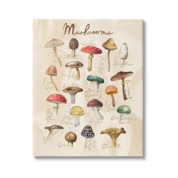 Stupell Industries Vintage Mushroom Types Diagram Landscape Painting Gallery Wrapped Canvas Print Wall Art