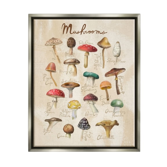 Stupell Industries Vintage Mushroom Types Diagram Landscape Painting Gray Floater Framed Art Print Wall Art