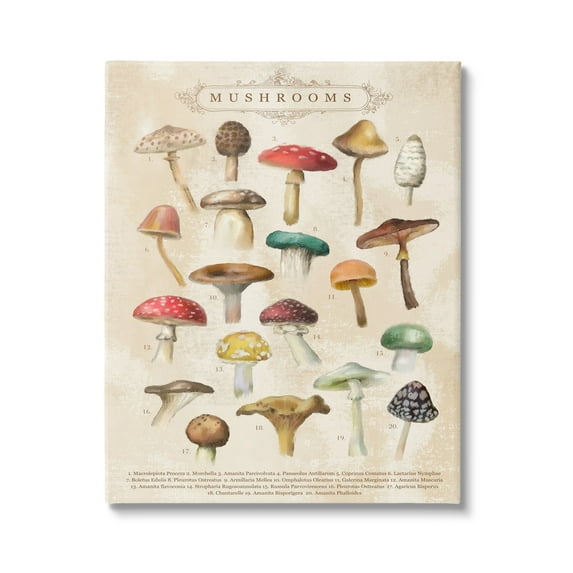 Stupell Industries Vintage Mushrooms Nature Studies Landscape Painting Gallery Wrapped Canvas Print Wall Art