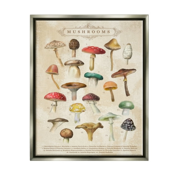 Stupell Industries Vintage Mushrooms Nature Studies Landscape Painting Gray Floater Framed Art Print Wall Art