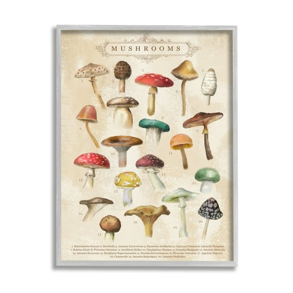 Stupell Industries Vintage Mushrooms Nature Studies Landscape Painting Gray Framed Art Print Wall Art